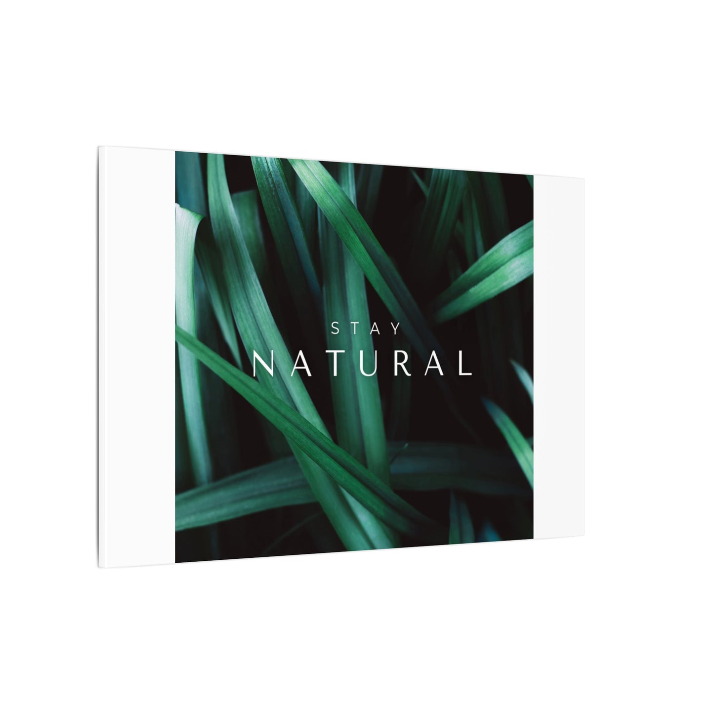 Stay Natural Botanical Canvas Wall Art