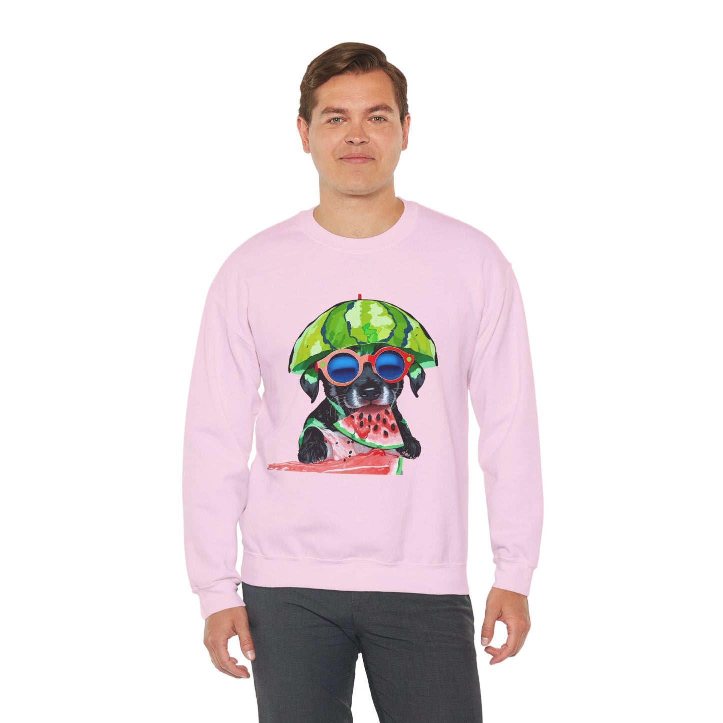 Dog in Helmet & Sunglasses Sweatshirt|Eco-Friendly - Limited