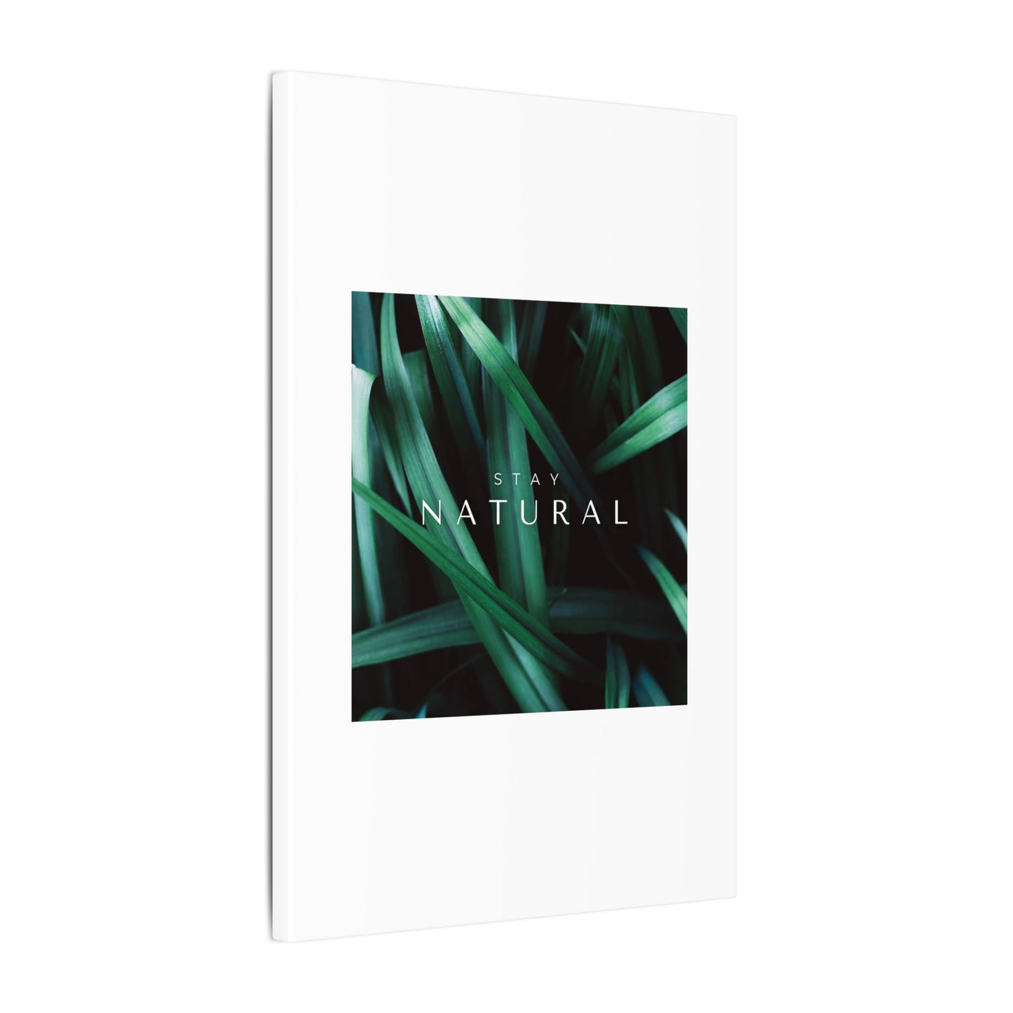Stay Natural Botanical Canvas Wall Art