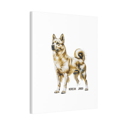 Korean Jindo Dog Illustration Canvas Wall Art | Eco - Limited