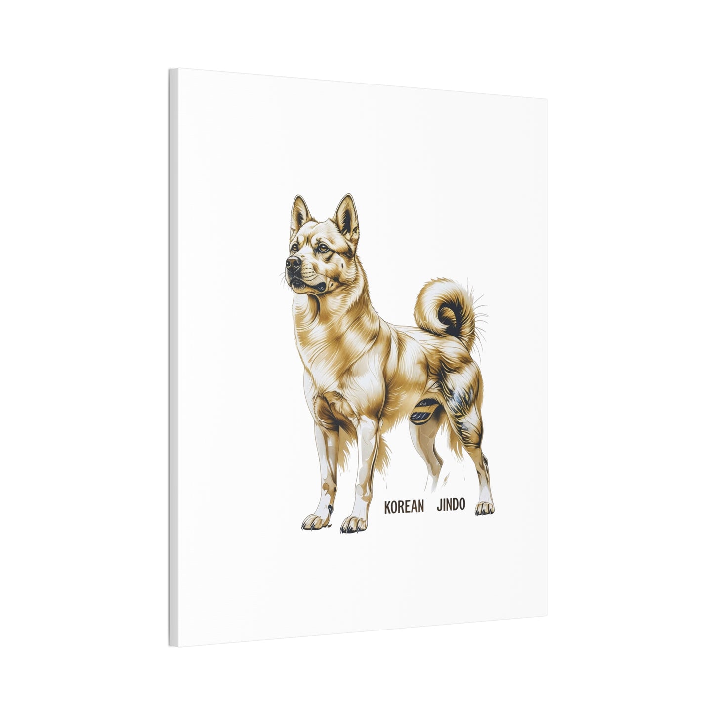Korean Jindo Dog Illustration Canvas Wall Art | Eco - Limited