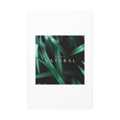 Stay Natural Botanical Canvas Wall Art