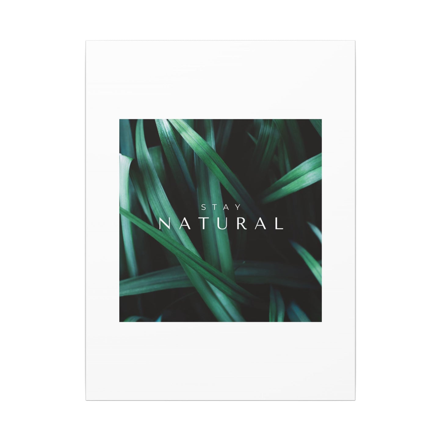 Stay Natural Botanical Canvas Wall Art