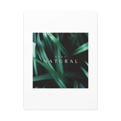 Stay Natural Botanical Canvas Wall Art