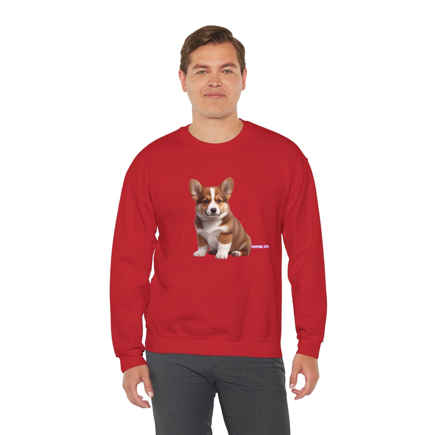 Corgi Puppy Graphic Sweatshirt|Eco-Friendly - Limited