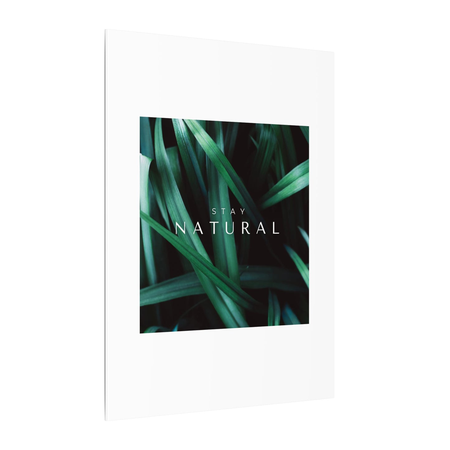 Stay Natural Botanical Canvas Wall Art
