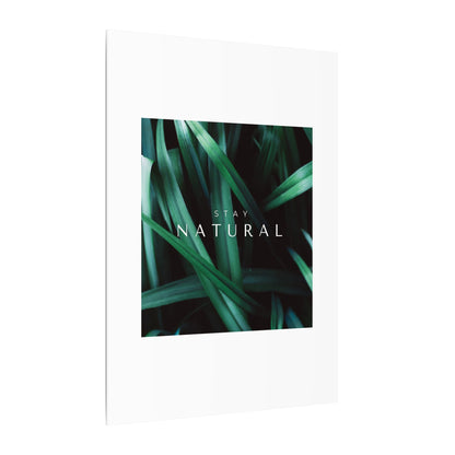 Stay Natural Botanical Canvas Wall Art