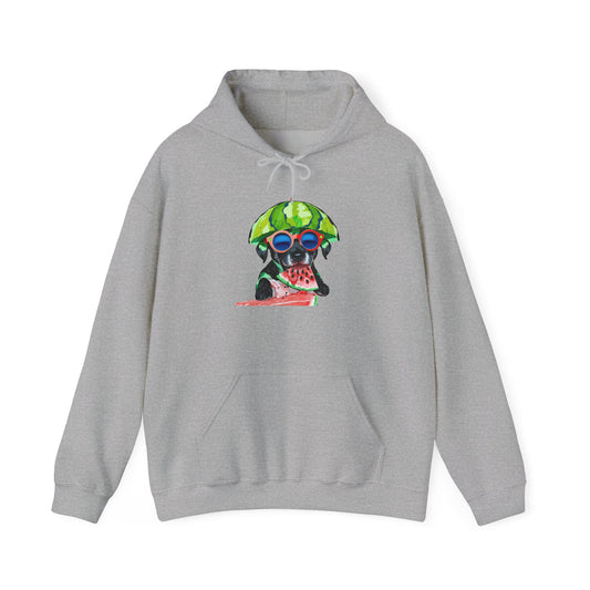 Cute Watermelon Pup Graphic Hoodie|Eco-Friendly - Limited
