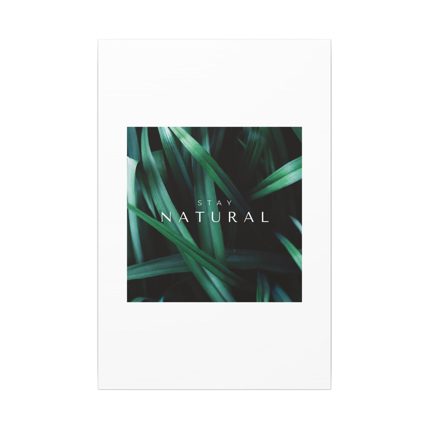Stay Natural Botanical Canvas Wall Art