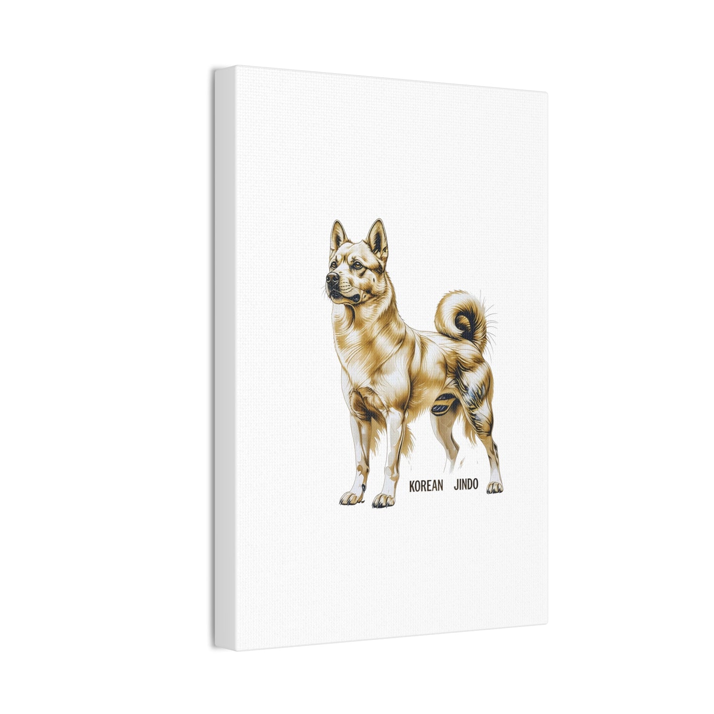 Korean Jindo Dog Illustration Canvas Wall Art | Eco - Limited