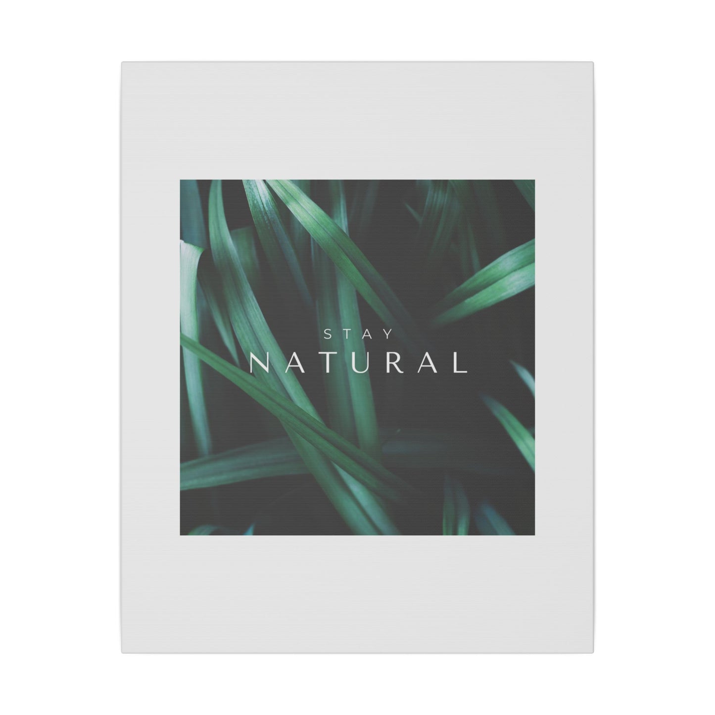 Stay Natural Botanical Canvas Wall Art