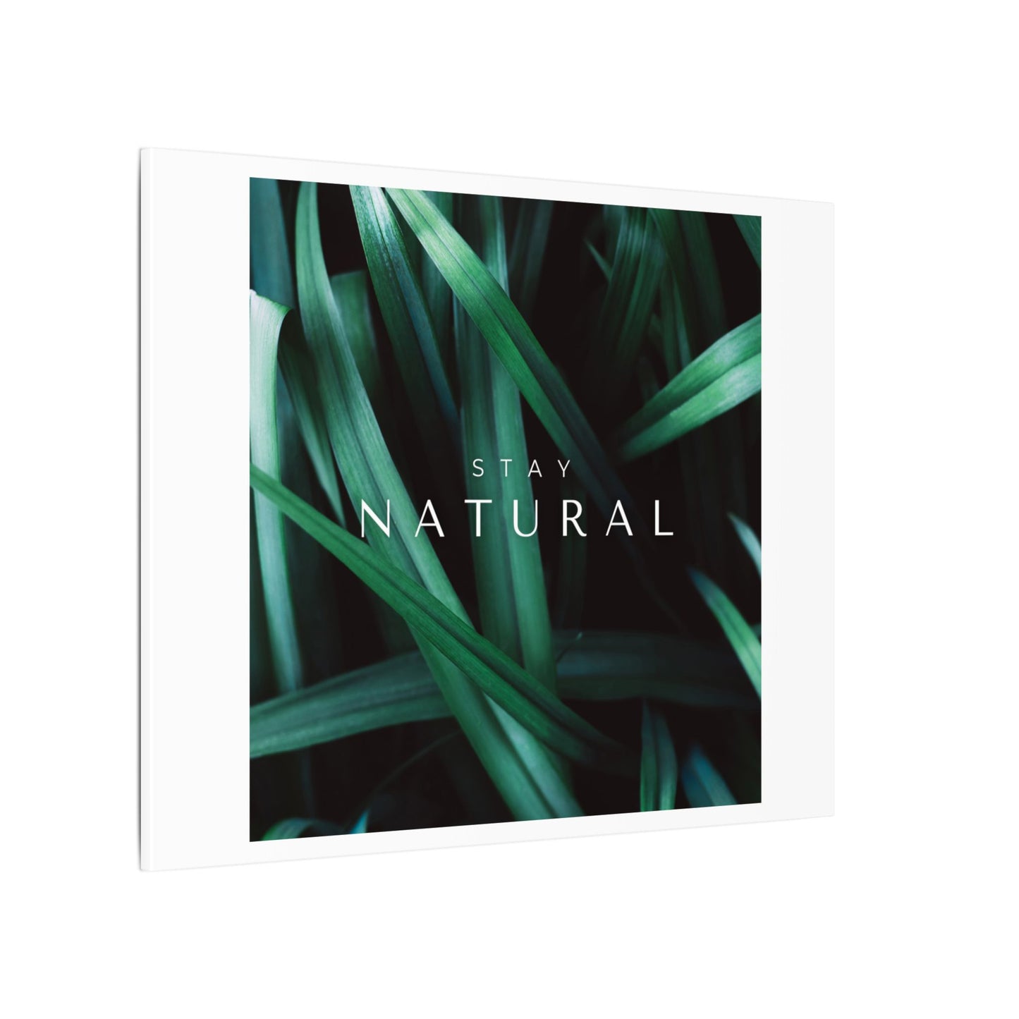 Stay Natural Botanical Canvas Wall Art