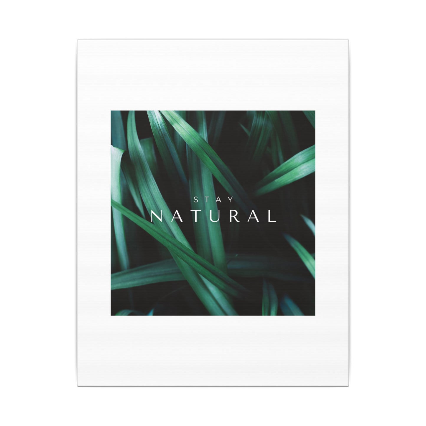 Stay Natural Botanical Canvas Wall Art