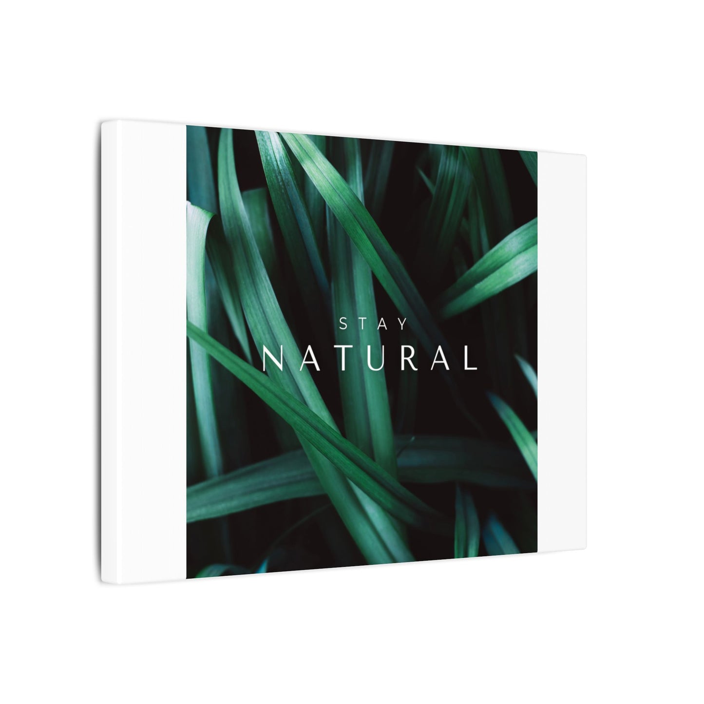 Stay Natural Botanical Canvas Wall Art