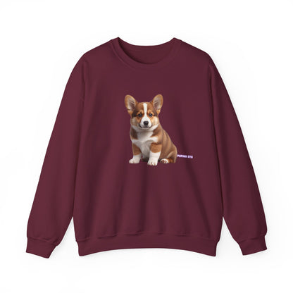 Corgi Puppy Graphic Sweatshirt|Eco-Friendly - Limited