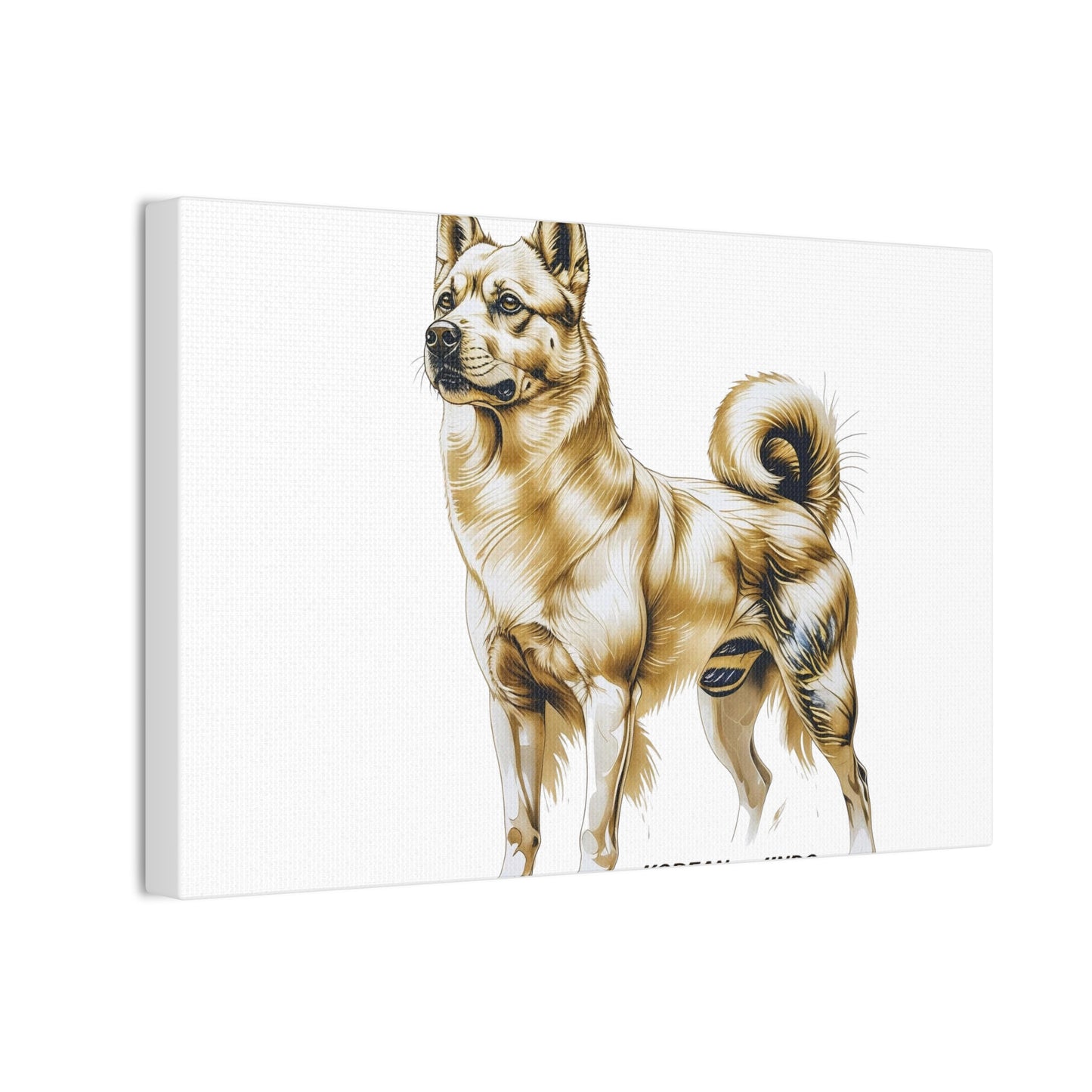 Korean Jindo Dog Illustration Canvas Wall Art | Eco - Limited