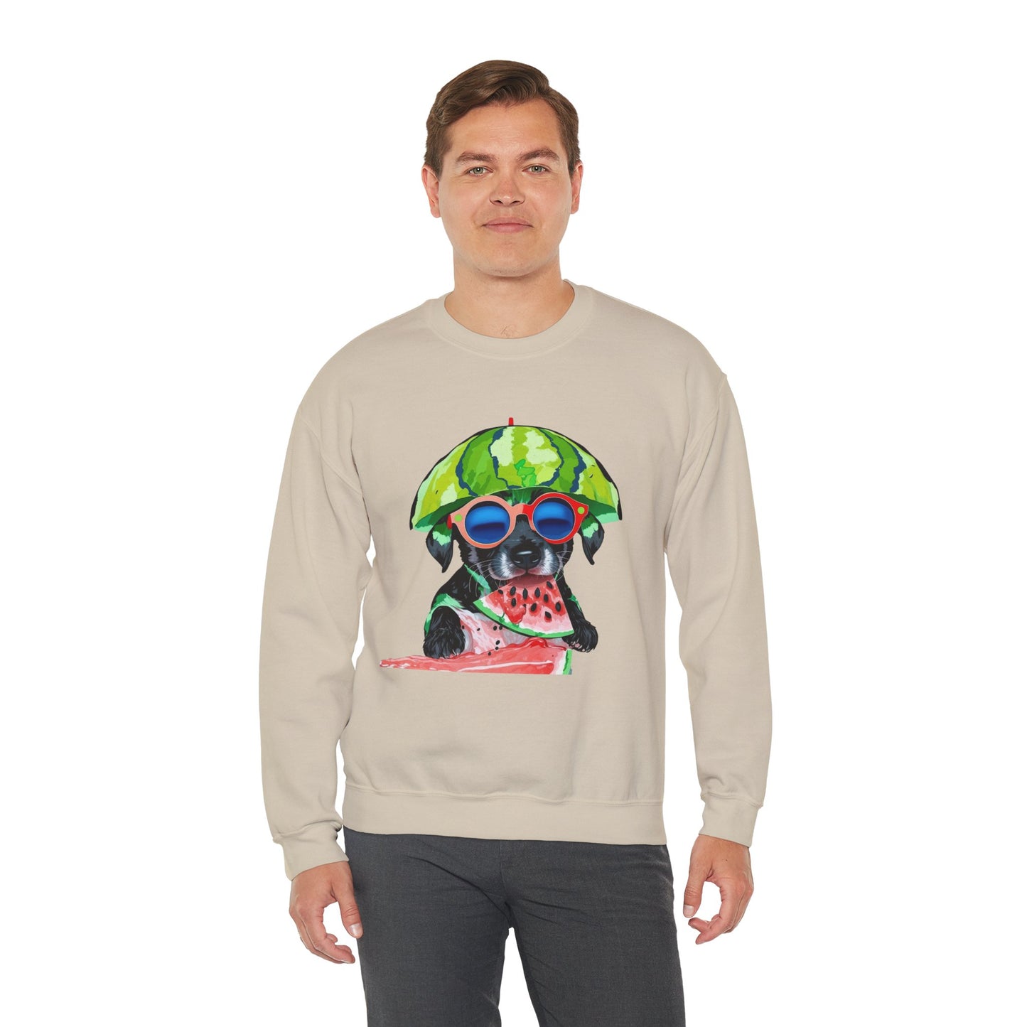 Dog in Helmet & Sunglasses Sweatshirt|Eco-Friendly - Limited