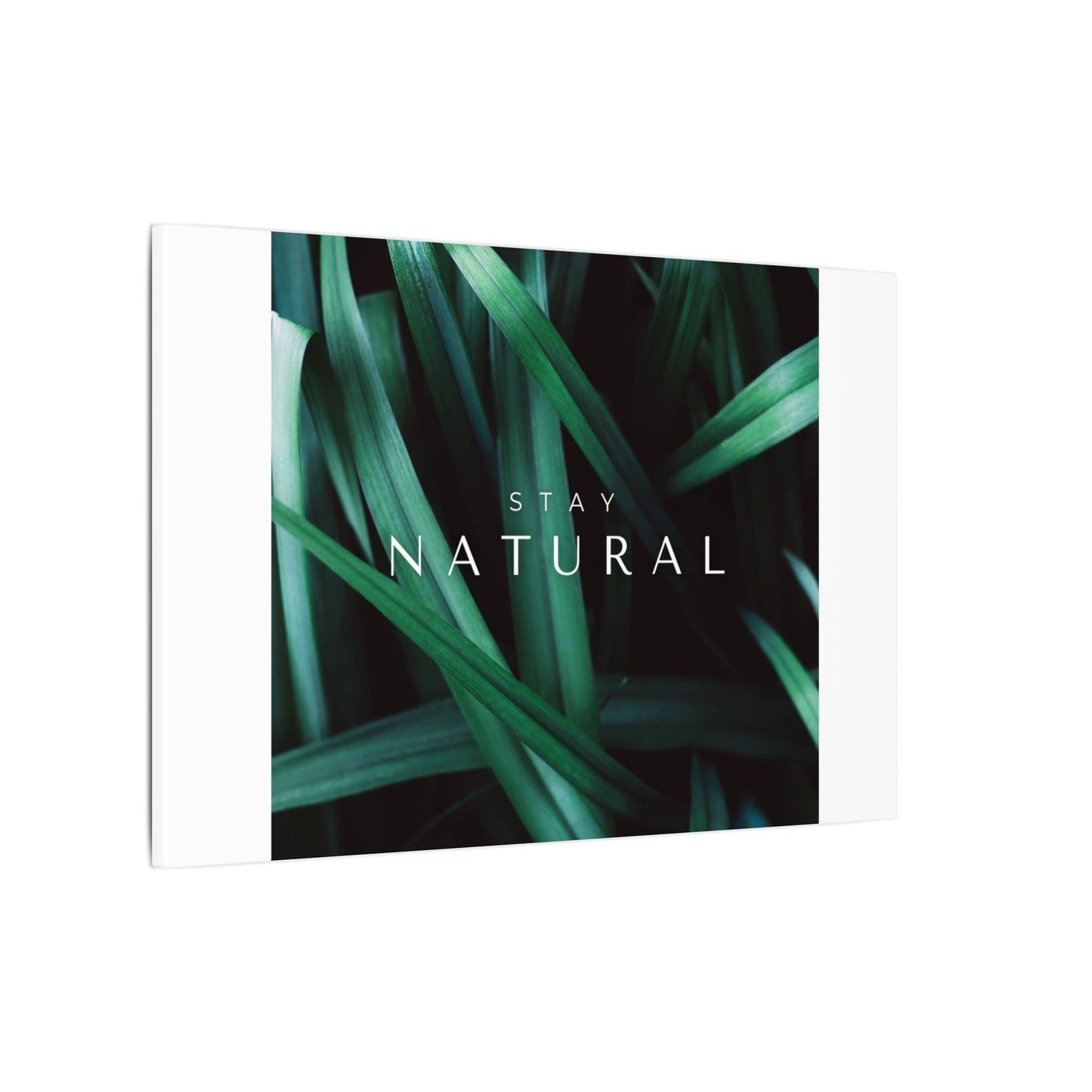 Stay Natural Botanical Canvas Wall Art