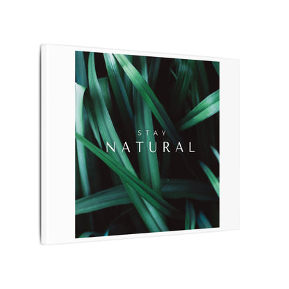 Stay Natural Botanical Canvas Wall Art