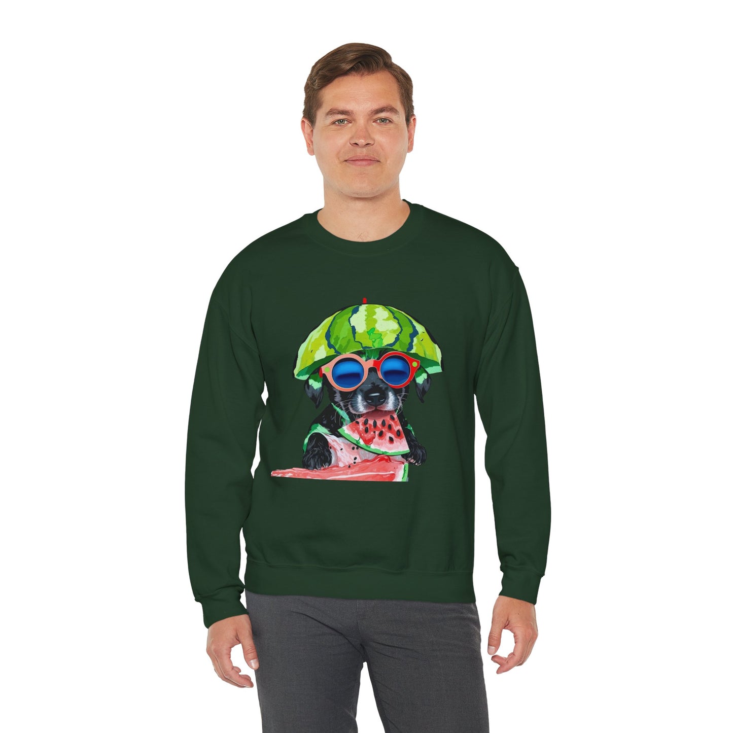 Dog in Helmet & Sunglasses Sweatshirt|Eco-Friendly - Limited