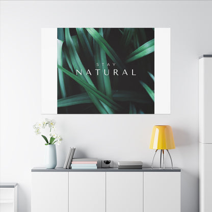 Stay Natural Botanical Canvas Wall Art