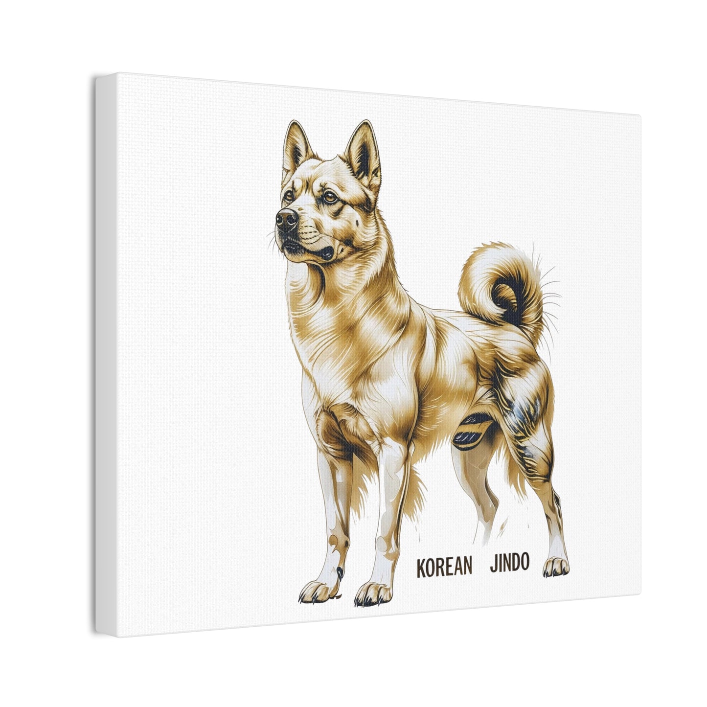 Korean Jindo Dog Illustration Canvas Wall Art | Eco - Limited