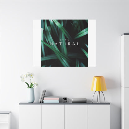 Stay Natural Botanical Canvas Wall Art
