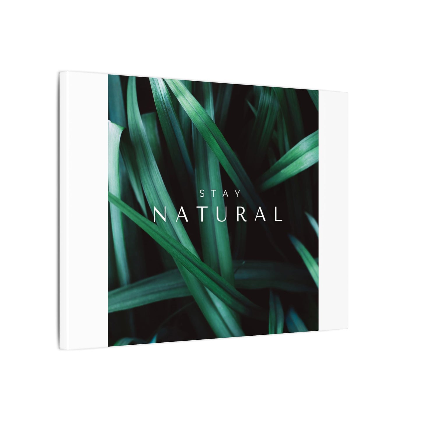 Stay Natural Botanical Canvas Wall Art