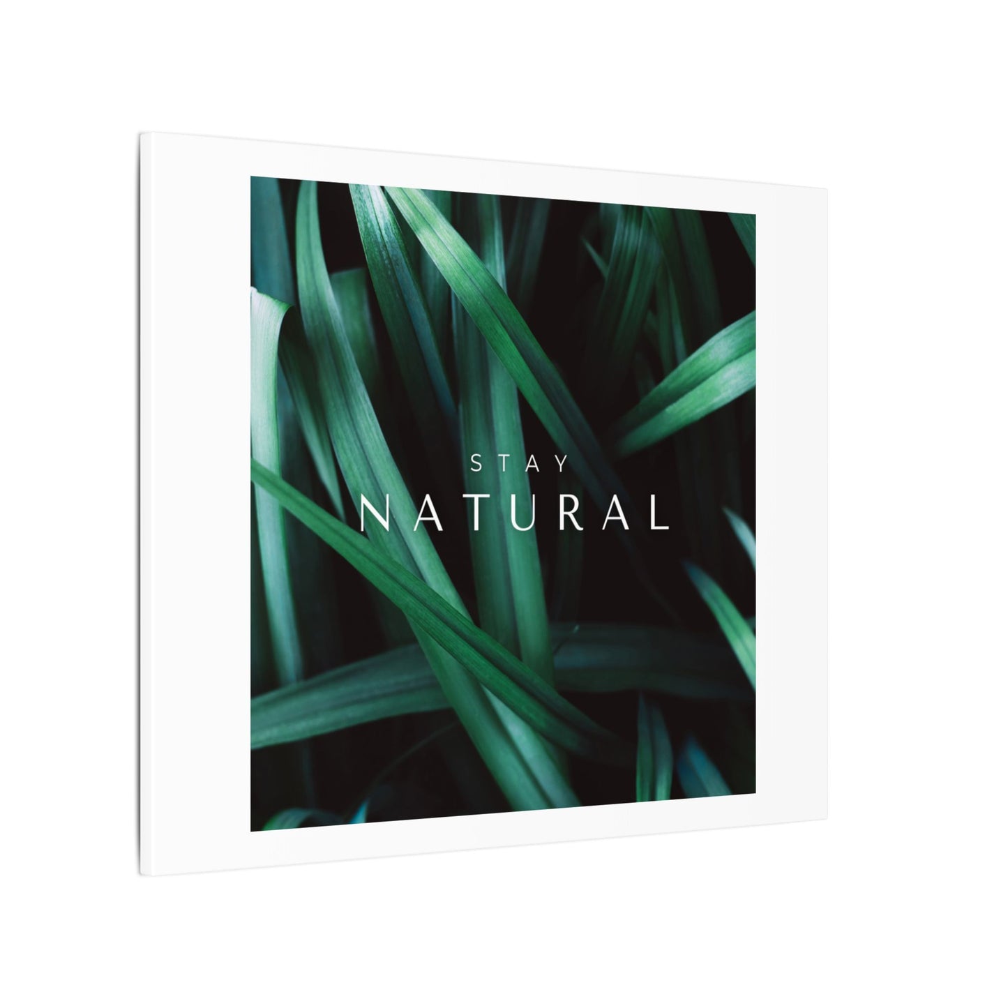 Stay Natural Botanical Canvas Wall Art