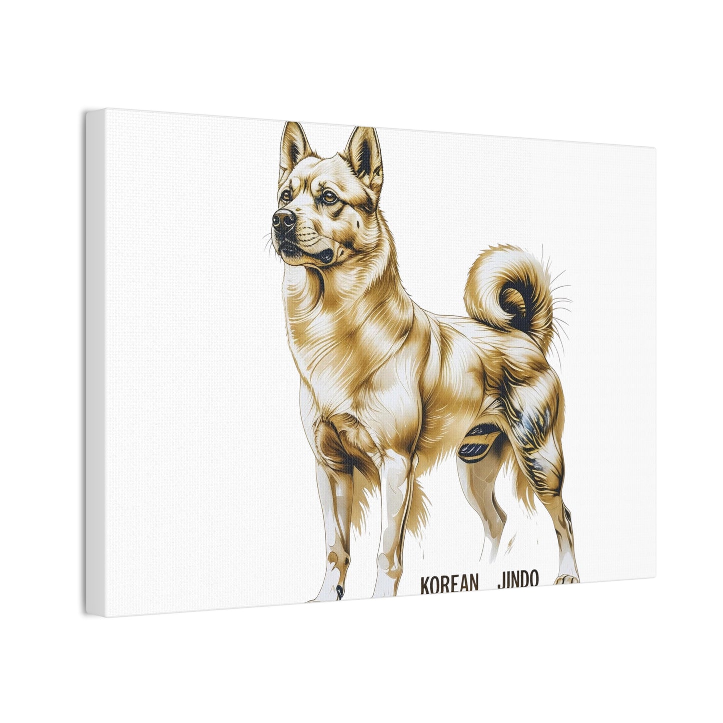 Korean Jindo Dog Illustration Canvas Wall Art | Eco - Limited