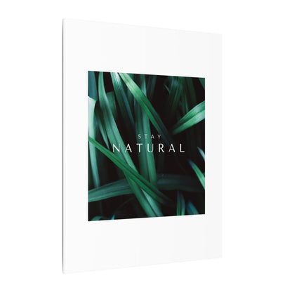 Stay Natural Botanical Canvas Wall Art