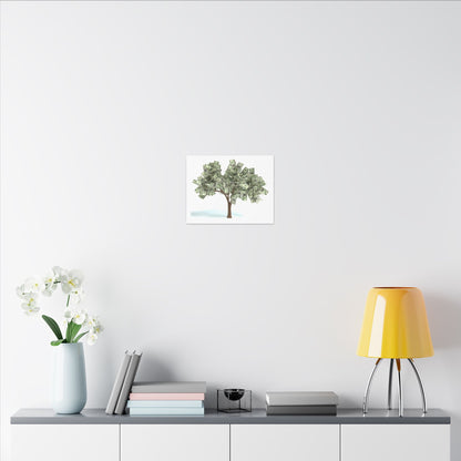 Money Tree Canvas Wall Art Canvas
