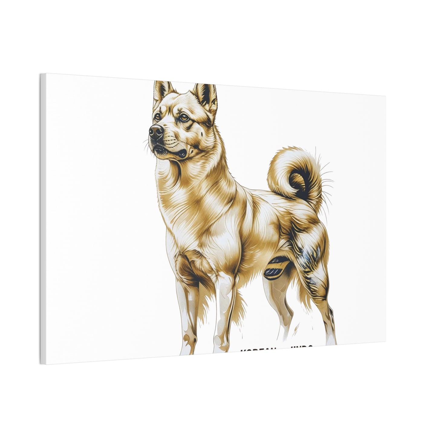 Korean Jindo Dog Illustration Canvas Wall Art | Eco - Limited