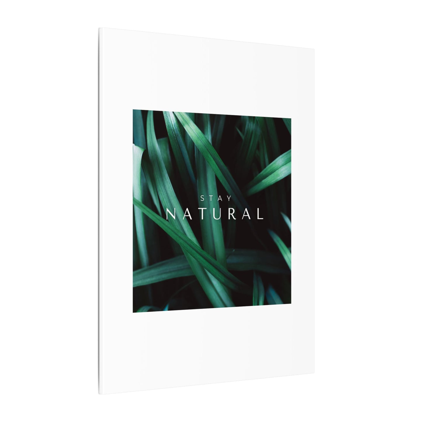 Stay Natural Botanical Canvas Wall Art