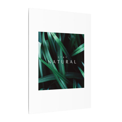 Stay Natural Botanical Canvas Wall Art