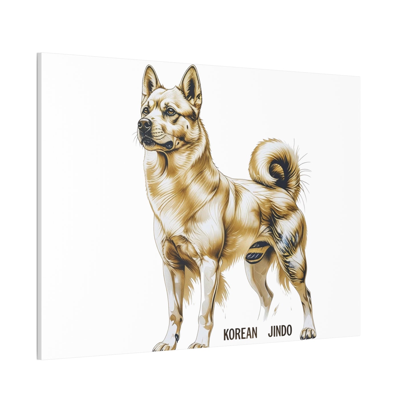 Korean Jindo Dog Illustration Canvas Wall Art | Eco - Limited
