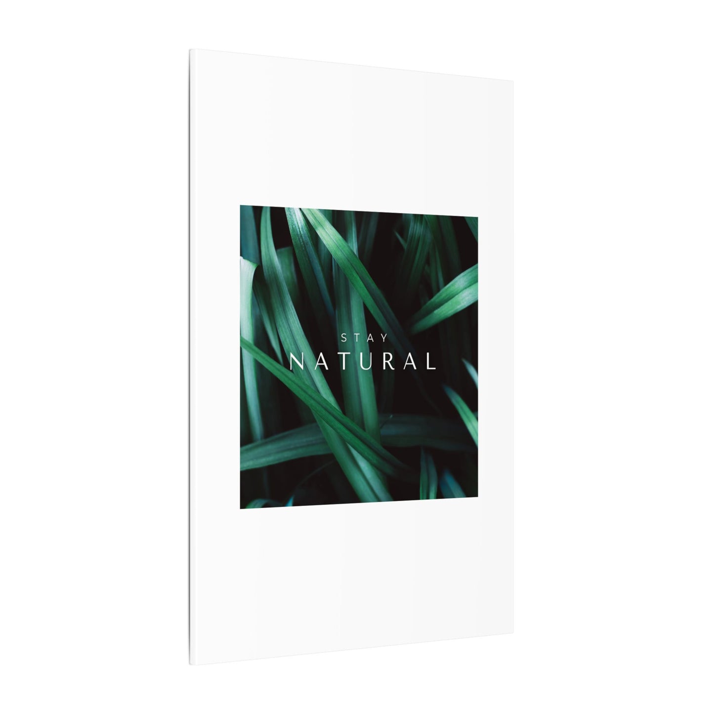 Stay Natural Botanical Canvas Wall Art