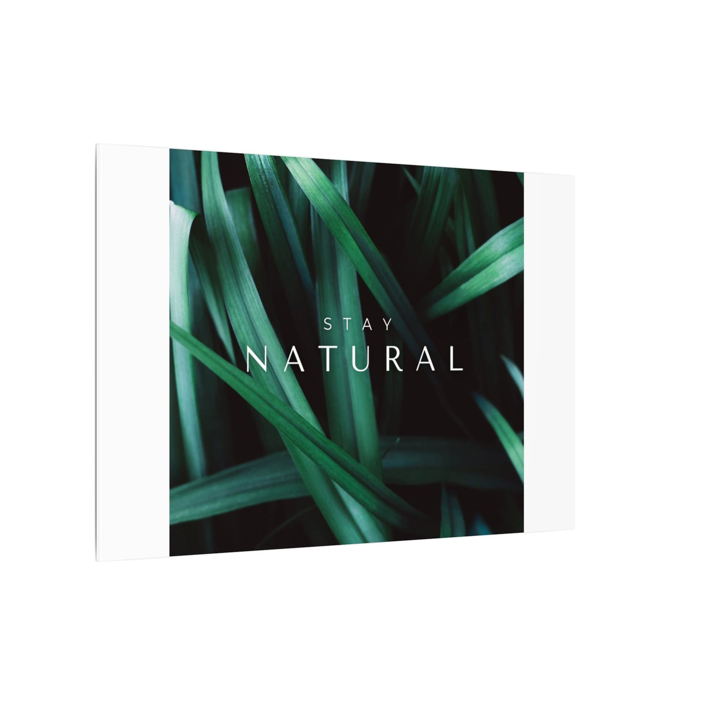 Stay Natural Botanical Canvas Wall Art