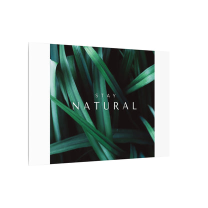 Stay Natural Botanical Canvas Wall Art