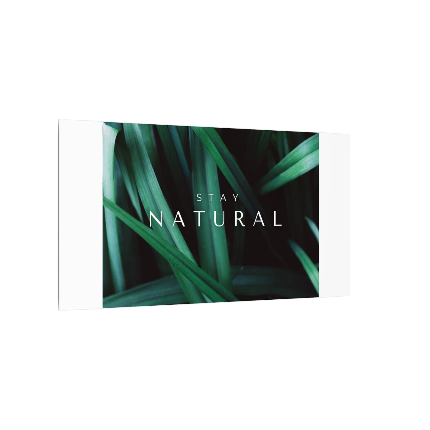 Stay Natural Botanical Canvas Wall Art