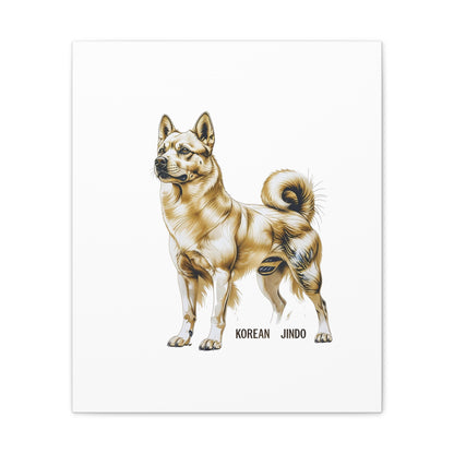Korean Jindo Dog Illustration Canvas Wall Art | Eco - Limited