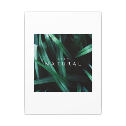 Stay Natural Botanical Canvas Wall Art