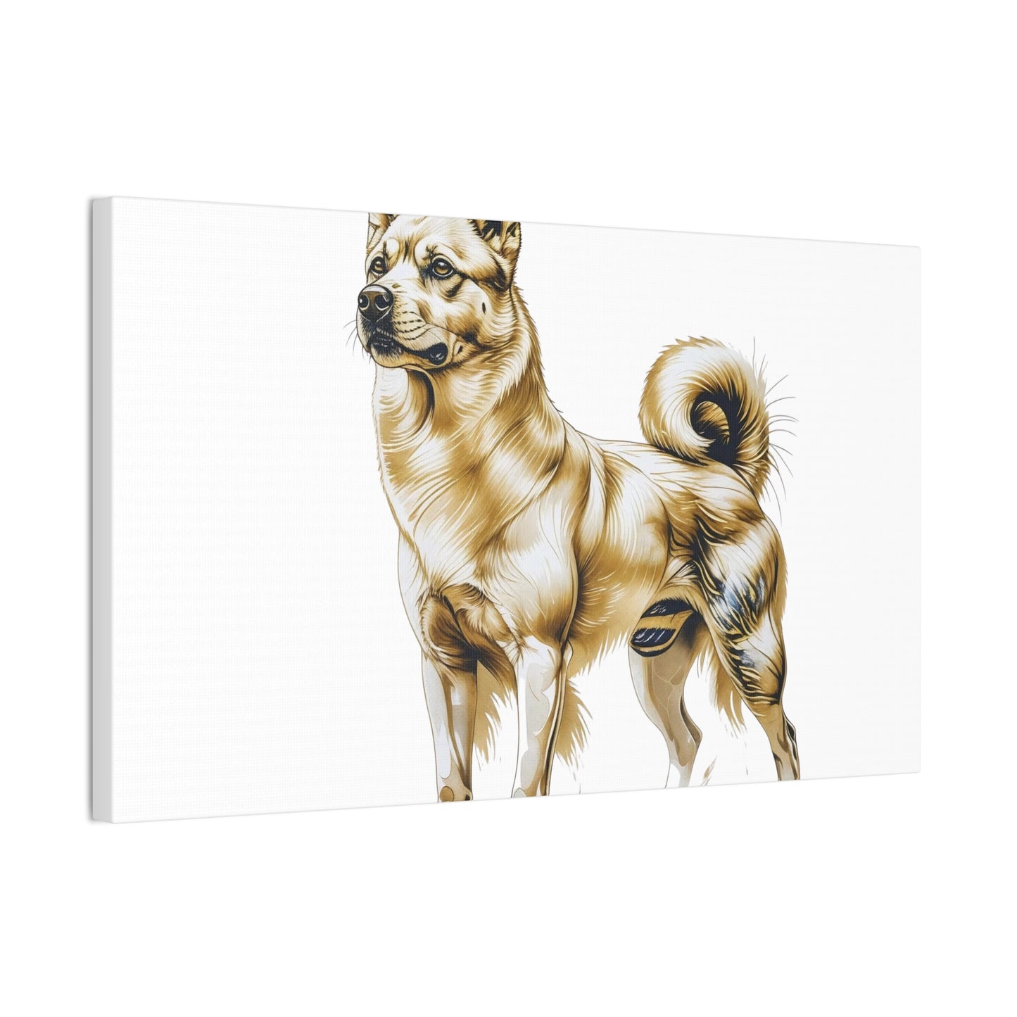 Korean Jindo Dog Illustration Canvas Wall Art | Eco - Limited