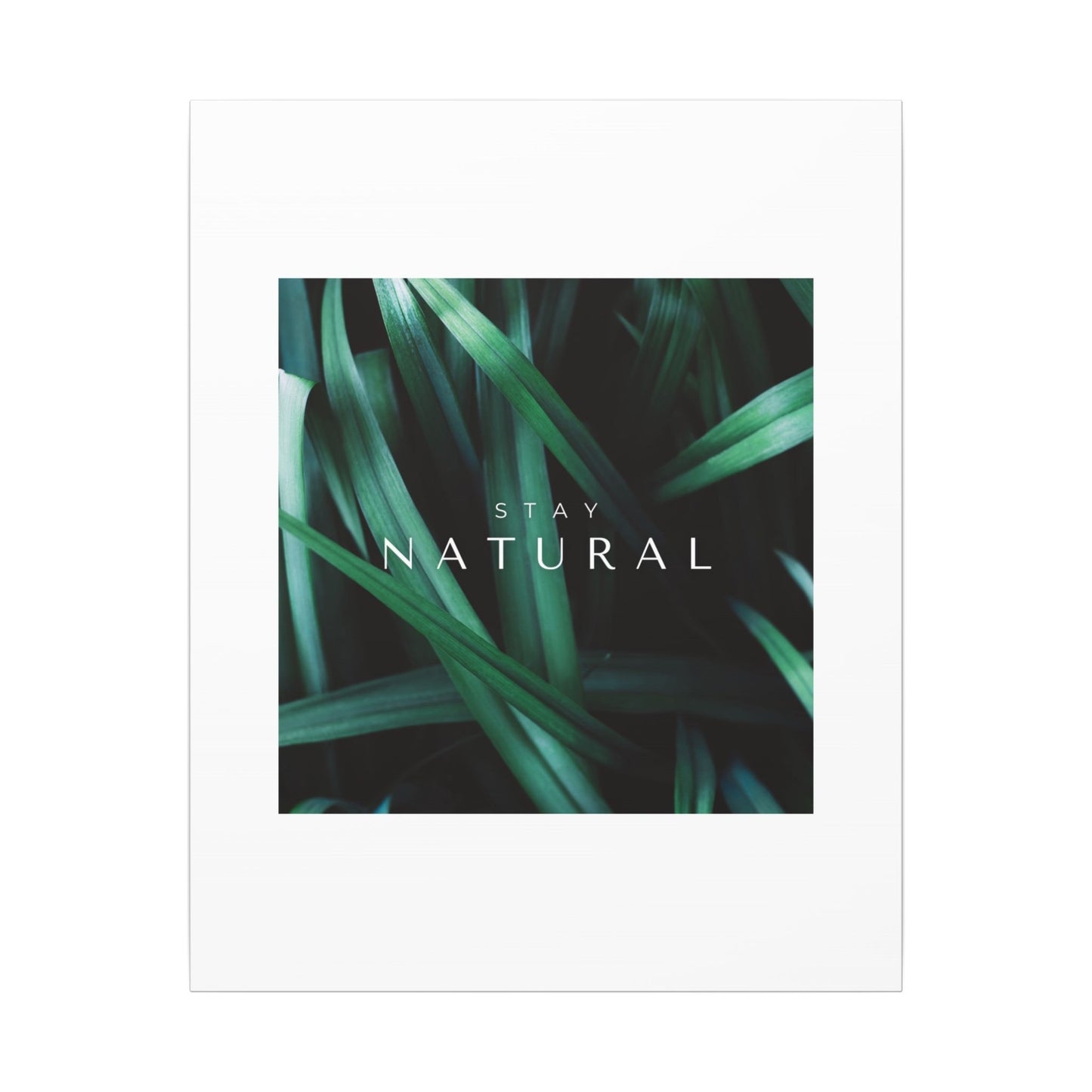 Stay Natural Botanical Canvas Wall Art