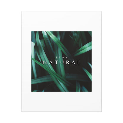 Stay Natural Botanical Canvas Wall Art