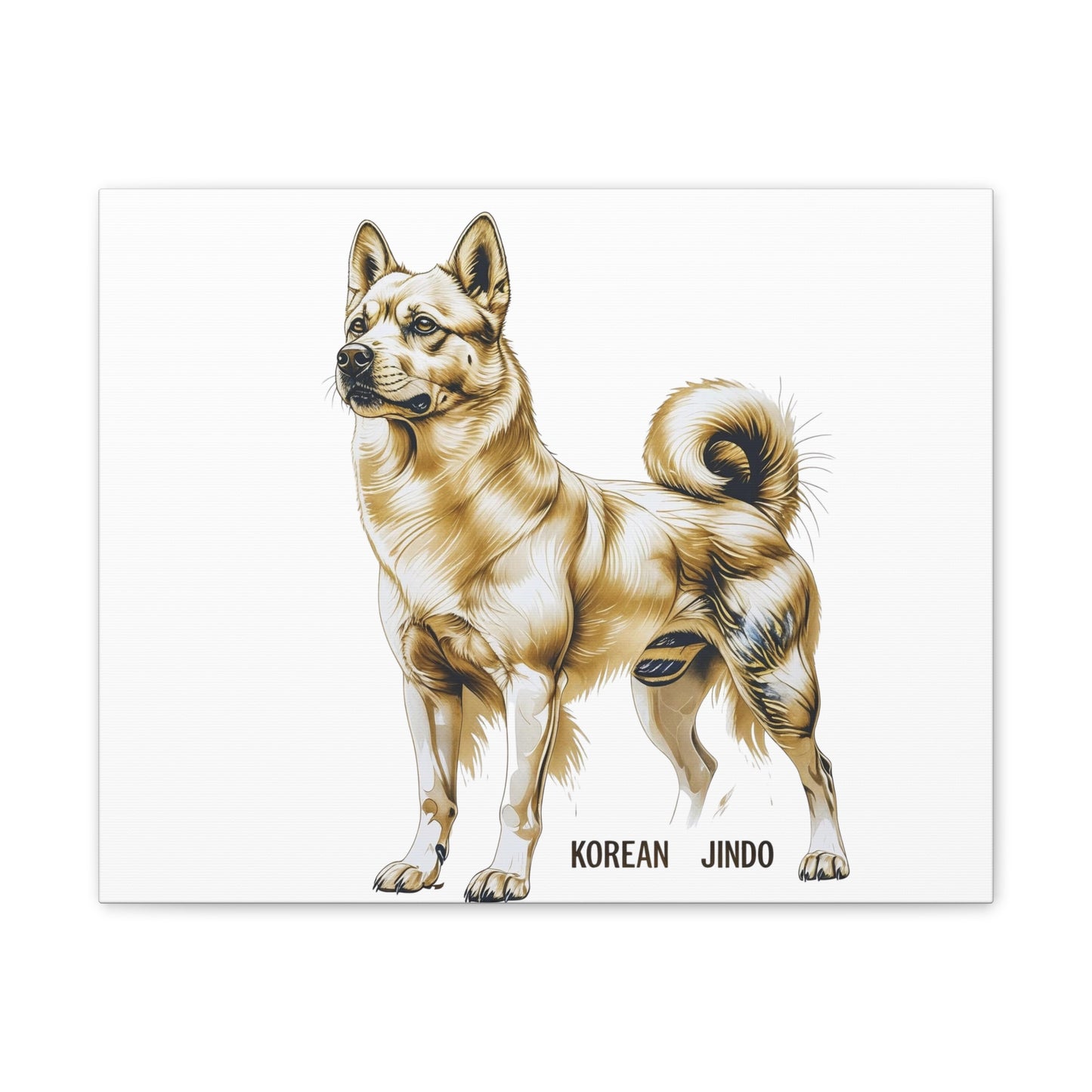 Korean Jindo Dog Illustration Canvas Wall Art | Eco - Limited