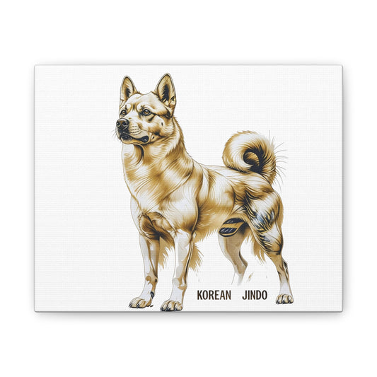 Korean Jindo Dog Illustration Canvas Wall Art | Eco - Limited