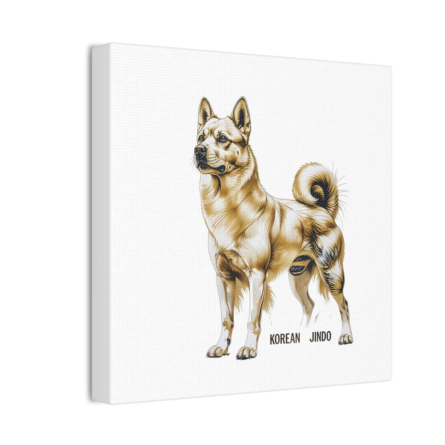 Korean Jindo Dog Illustration Canvas Wall Art | Eco - Limited