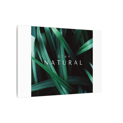 Stay Natural Botanical Canvas Wall Art