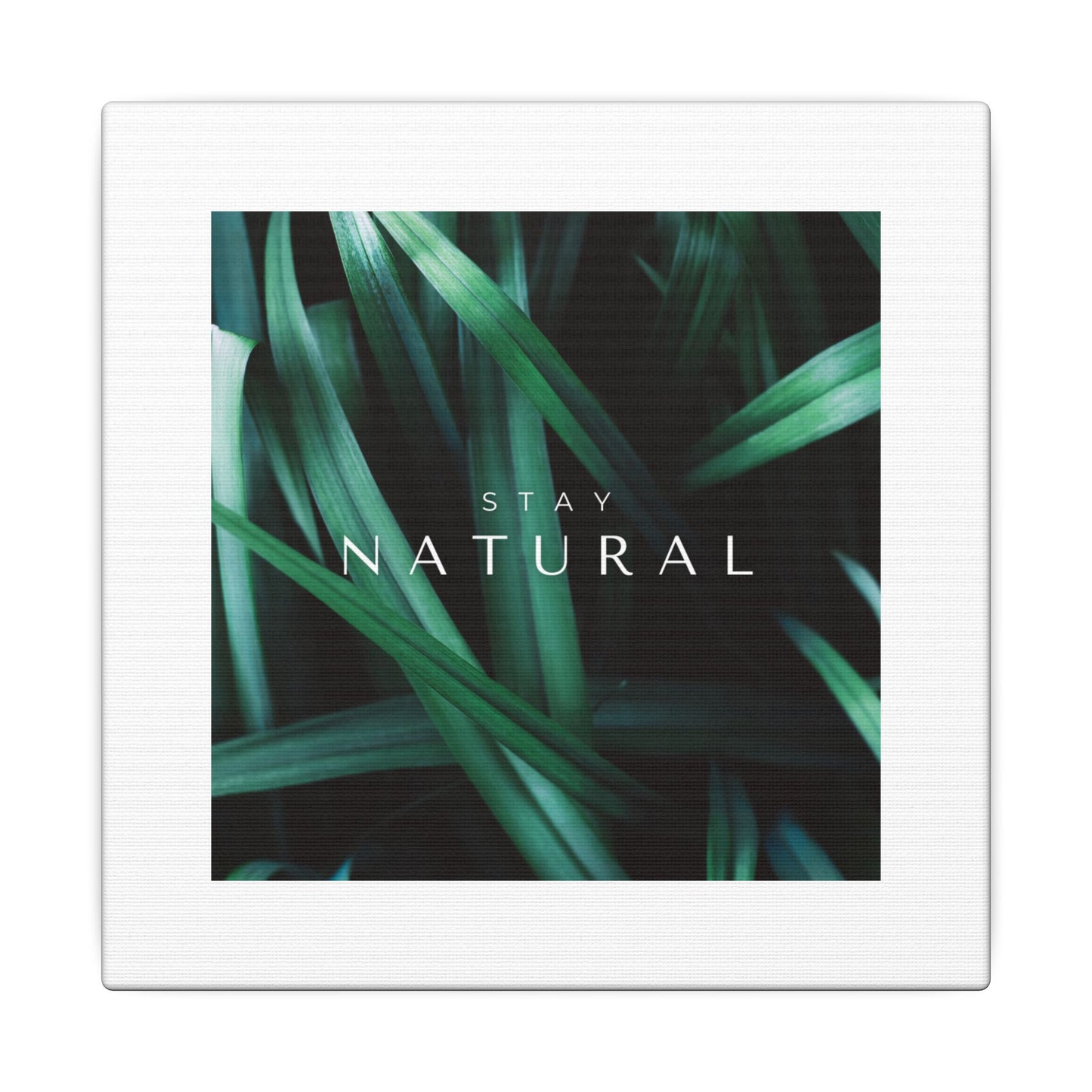 Stay Natural Botanical Canvas Wall Art